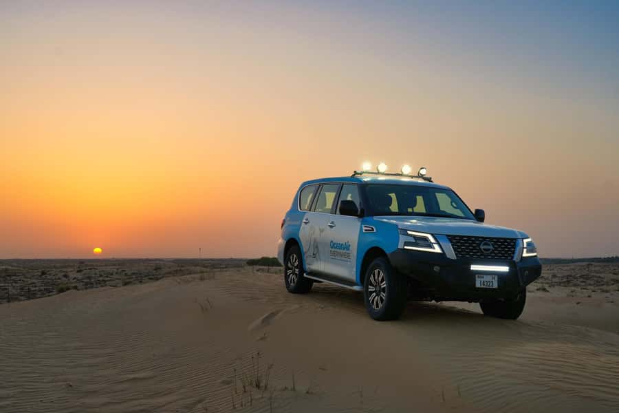 Dubai: Evening Desert Safari with Camel Ride & Stargazing - From your hotel to the red dunes