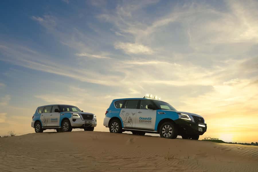 Dubai: Evening Desert Safari with Camel Ride & Stargazing - Dinner, shows, and package choices