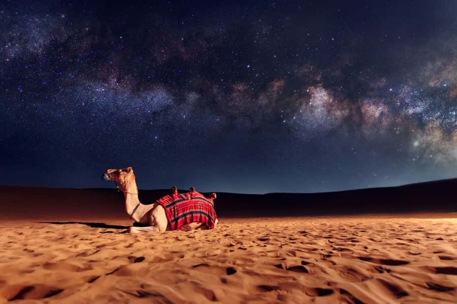 Dubai: Evening Desert Safari with Camel Ride & Stargazing - The guides make a real difference