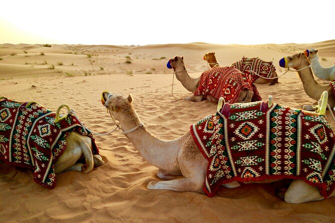 Dubai Evening Desert Safari with RedDune, sandboarding, live show - Is $60 a fair price?