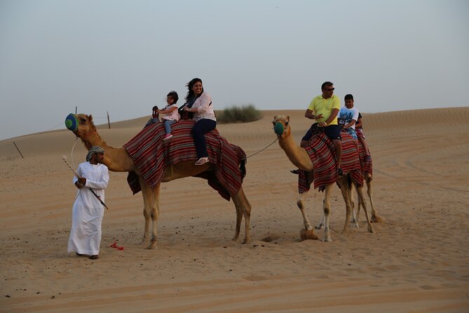 Dubai Evening Desert Safari with Thrilling Dune Buggy Adventure - Is $178.63 a fair price?