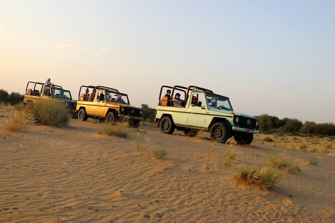 Dubai Evening Heritage Safari by Vintage G Class Al Marmoom Oasis - Al Marmoom Reserve and the search for wildlife