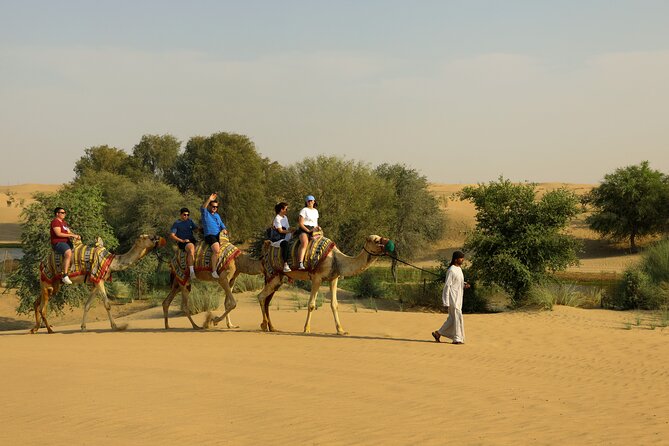 Dubai Evening Heritage Safari by Vintage G Class Al Marmoom Oasis - Sunset, Arabic clothing, and the falcon photograph