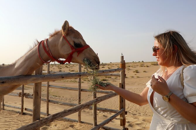Dubai Evening Heritage Safari by Vintage G Class Al Marmoom Oasis - Dinner comes with a menu question