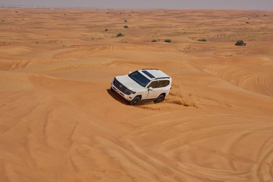 Dubai: Exclusive VIP Desert Safari Dinner with Live Show - Nine performances under the night sky