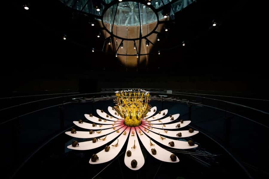 Dubai: Expo City Attractions Pass - Who Should Book the Attractions Pass?