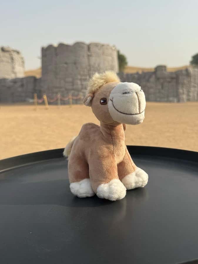 Dubai Fort Lisaili Desert: Quad, Buggy Ride & Free Souvenir - BBQ dinner under the camp lights