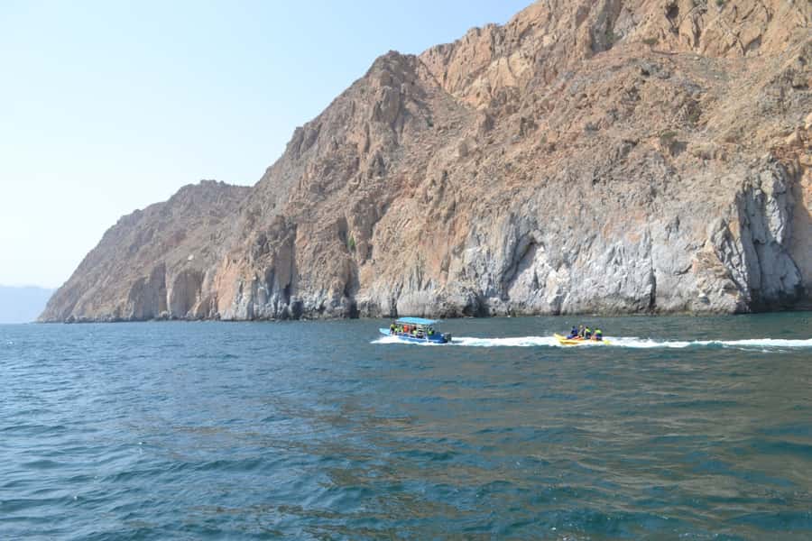 Dubai: Full-Day Sea Safari to Musandam - Key points to know before booking