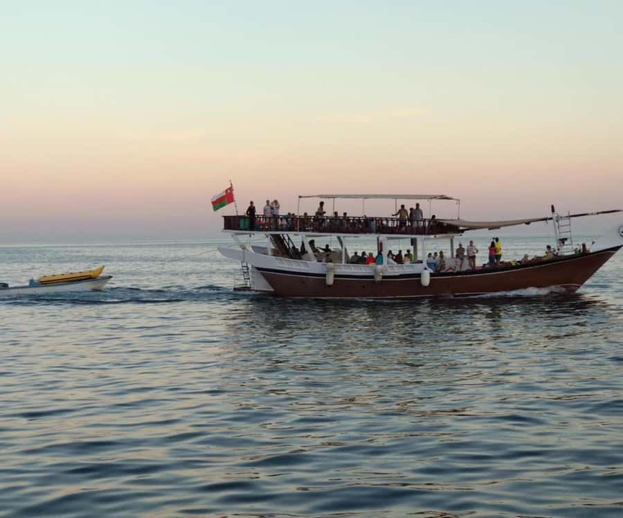 Dubai: Full-Day Sea Safari to Musandam - Who should book, and who should skip it?