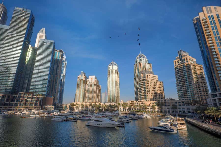 Dubai Full-Day Tour: Mosque, Souks, Burj Khalifa photo stop - Jumeirah Mosque and Zabeel Palace set the tone