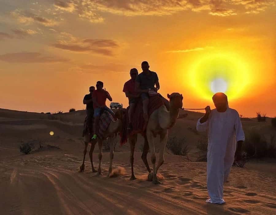 Dubai: Guided Dune Buggy Driving Experience in the Desert - Getting to the camp and getting back