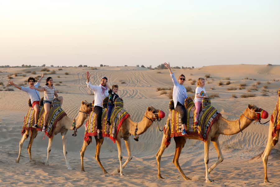 Dubai: Half-Day Camel Trekking with Al Marmoom Breakfast - Arabic coffee and Bedouin stories