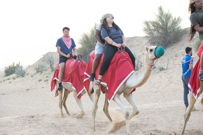 Dubai Half-day Red Dunes bashing with Sandboarding, Camel &Falcon - Why the 7:00 am start matters in Dubai
