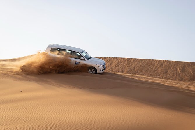 Dubai Half-day Red Dunes bashing with Sandboarding, Camel &Falcon - Red dunes and 30 to 40 minutes of dune bashing