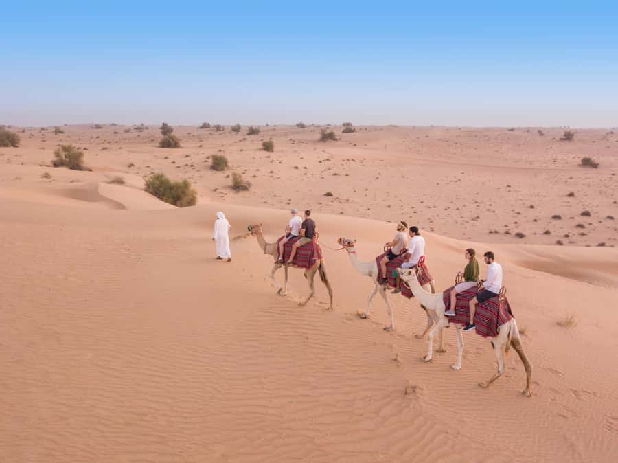 Dubai: Heritage Camel Desert Safari with Traditional Dinner - Why this safari feels different from a standard desert outing