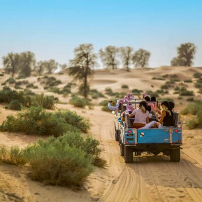 Heritage Safari in Vintage Land Rover with Dinner