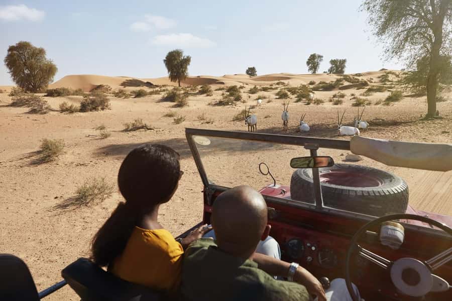 Dubai: Heritage Safari in Vintage Land Rover with Dinner - Who should book, and who should think twice?