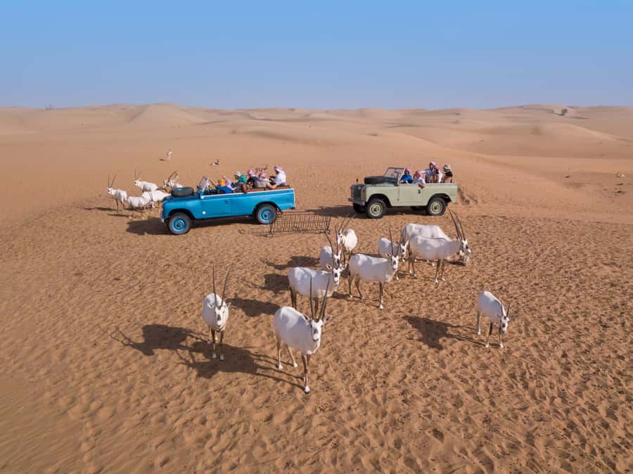 Dubai: Heritage Safari in Vintage Land Rover with Dinner - Practical details before you commit