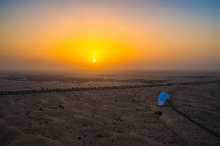 Dubai: Hot Air Balloon, Camel Ride, Desert Safari & More - Falconry photos and the souvenir moments