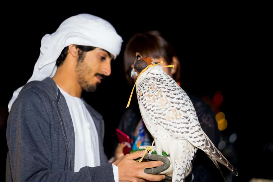 Dubai: Hot Air Balloon, Camel Ride, Desert Safari & More - Who should book this morning adventure?