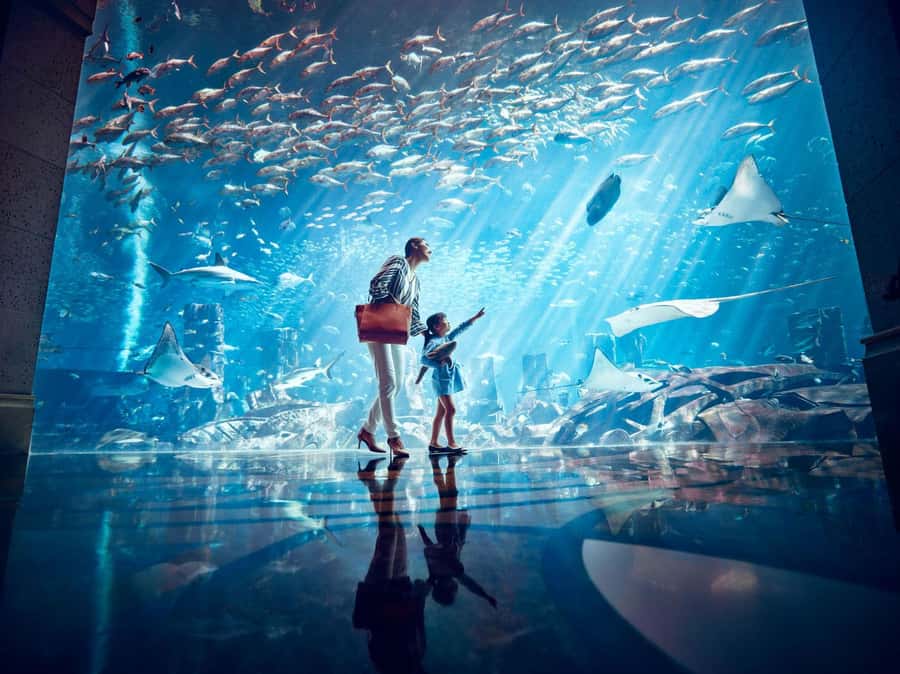 Dubai: Lost Chambers Aquarium Entry Ticket - What the Lost Chambers Aquarium is really like