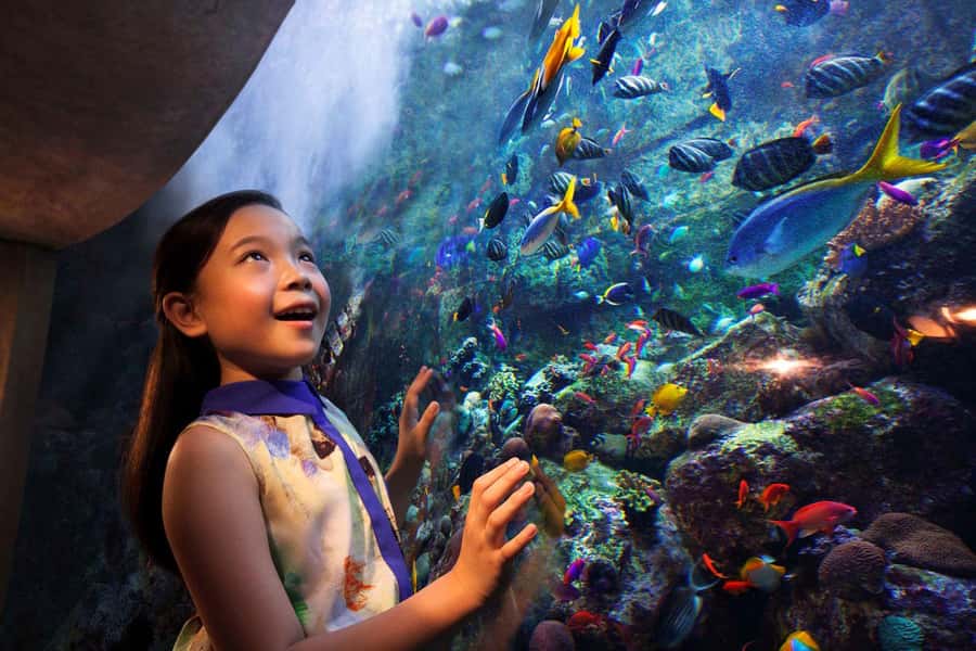 Dubai: Lost Chambers Aquarium Entry Ticket - The Ambassador Lagoon is the main event