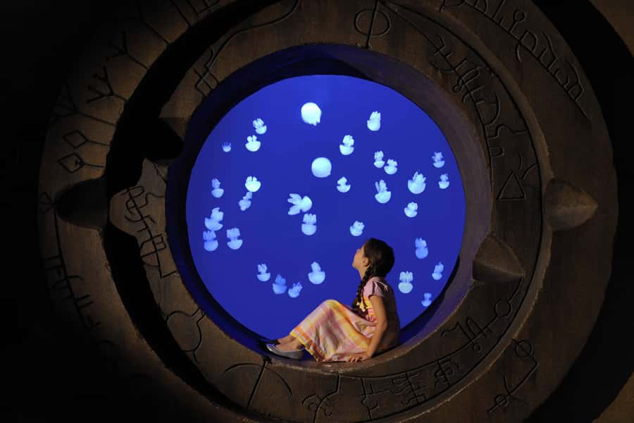 Dubai: Lost Chambers Aquarium Entry Ticket - Daily talks and feeding times