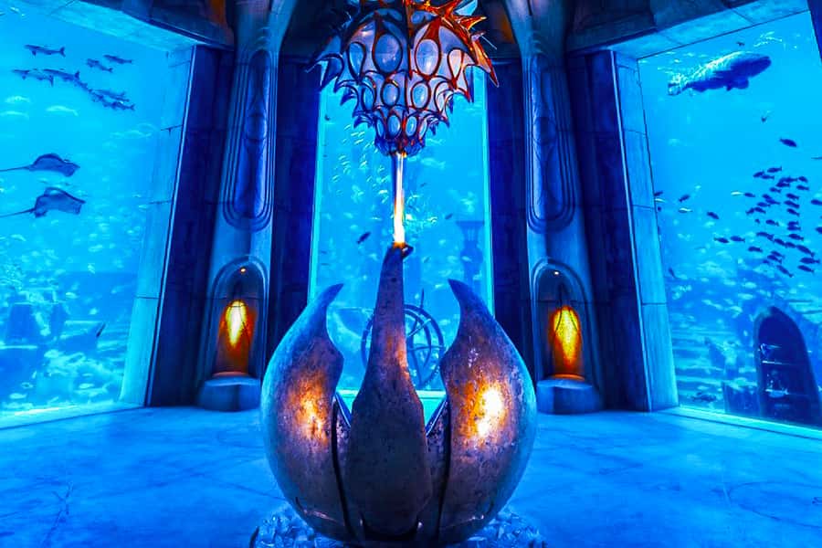 Dubai: Lost Chambers Aquarium Entry Ticket - Is $45 a fair price?