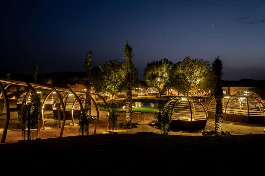 Dubai: Luxury Safari with Michelin-Curated 5-Course Dinner - Key points at a glance