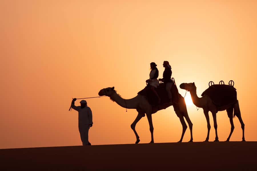 Dubai: Luxury Safari with Michelin-Curated 5-Course Dinner - Who should book this experience?