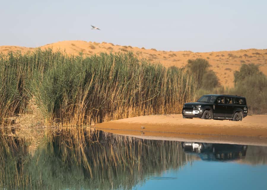Dubai: Luxury Safari with Michelin-Curated 5-Course Dinner - Through the reserve in a Land Rover Defender