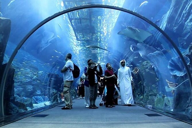 Dubai Mall Aquarium and Underwater Zoo Ticket - The Underwater Zoo and its wide animal mix