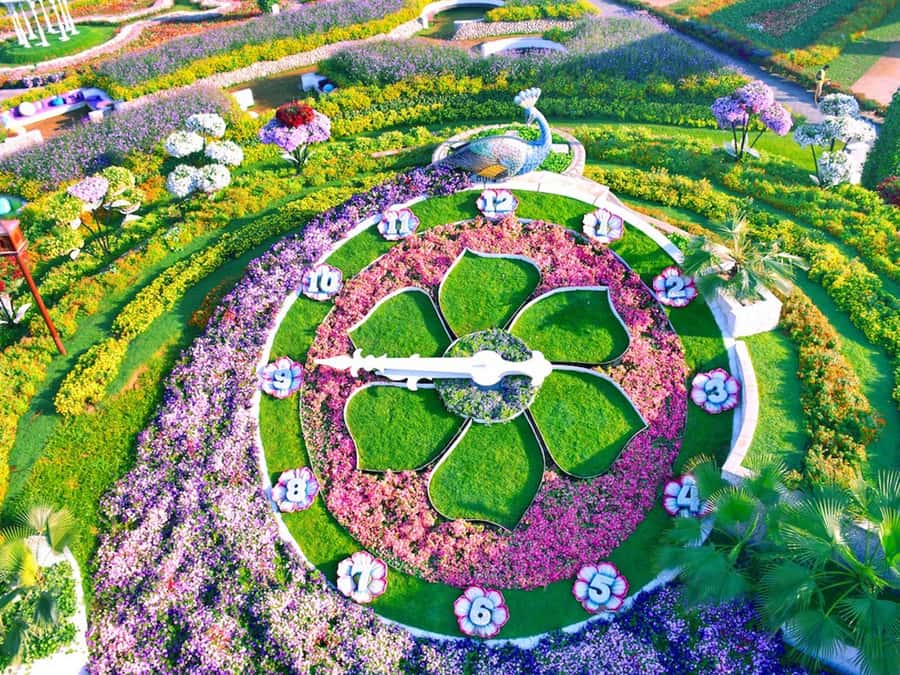 Dubai: Miracle Garden Entry Ticket with Hotel Transfer - Why Miracle Garden feels unlike a normal park