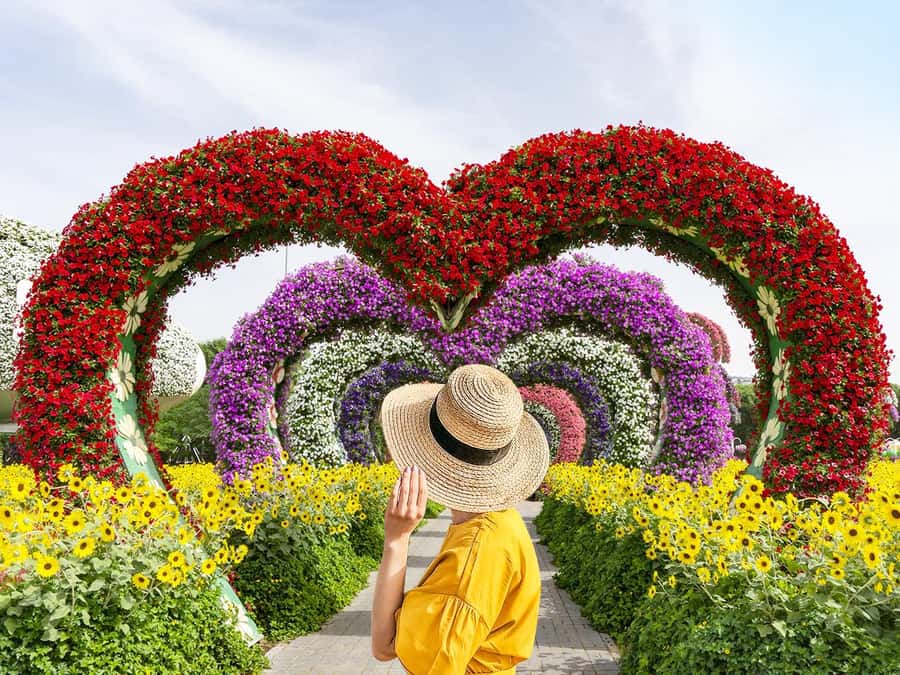 Dubai: Miracle Garden Entry Ticket with Hotel Transfer - Entering the garden and getting your ticket