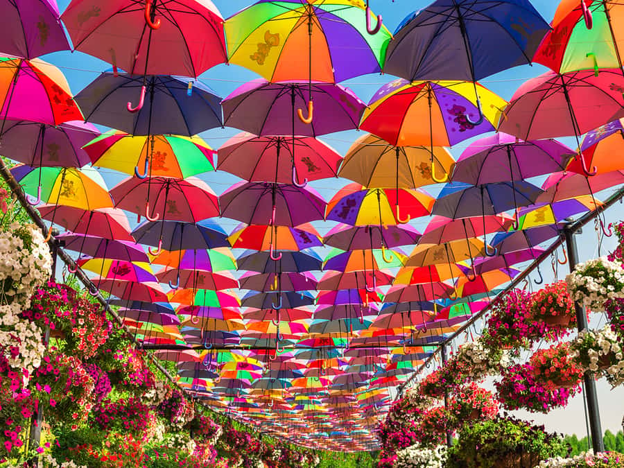 Dubai: Miracle Garden Entry Ticket with Hotel Transfer - Heat, shade, and the best time to visit
