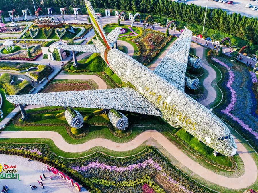 Dubai: Miracle Garden Entry Ticket with Hotel Transfer - Hotel pickup makes the visit easy