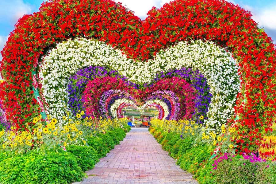 Dubai: Miracle Garden, Global Village, and Dubai Frame - Quick points before you book