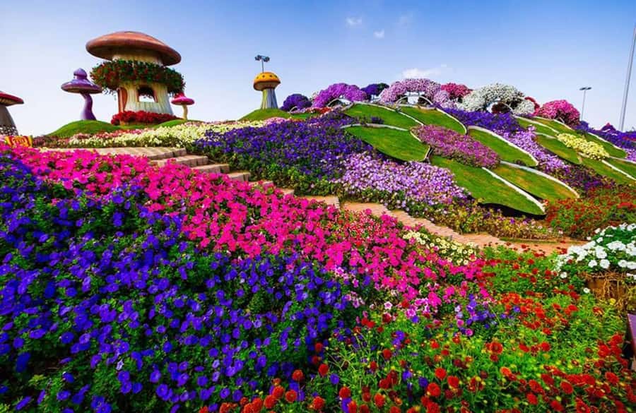 Dubai: Miracle Garden, Global Village, and Dubai Frame - My practical verdict