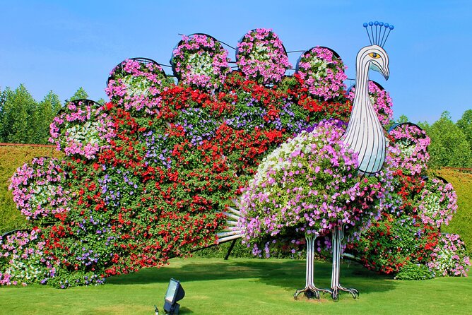 Dubai: Miracle Garden Ticket With Transfer - Clothes, Camera, and Garden Rules