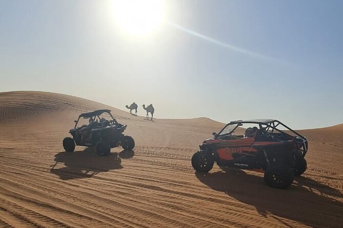 Dubai Morning Buggy Dunes Safari with Sandboarding & Camel Ride - My practical plan for the morning