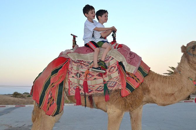 Dubai: Morning Desert Safari - Why the morning timing works so well