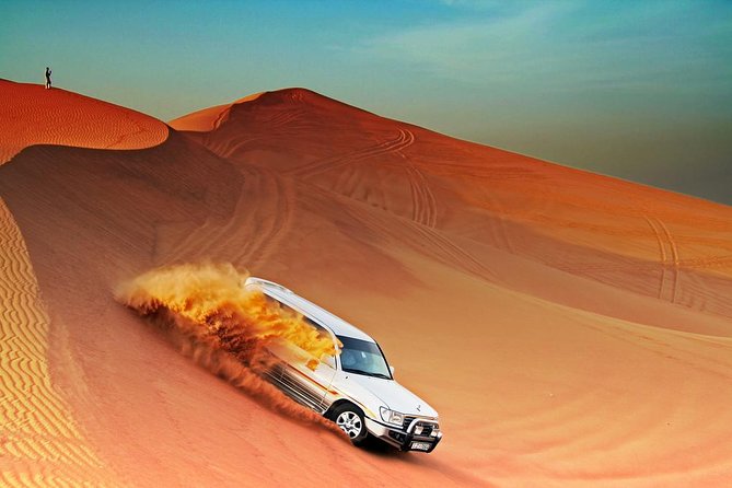 Dubai: Morning Desert Safari - The camel ride is brief but memorable