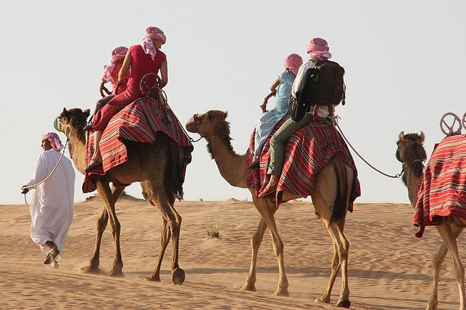 Dubai: Morning Desert Safari - What $49 buys you