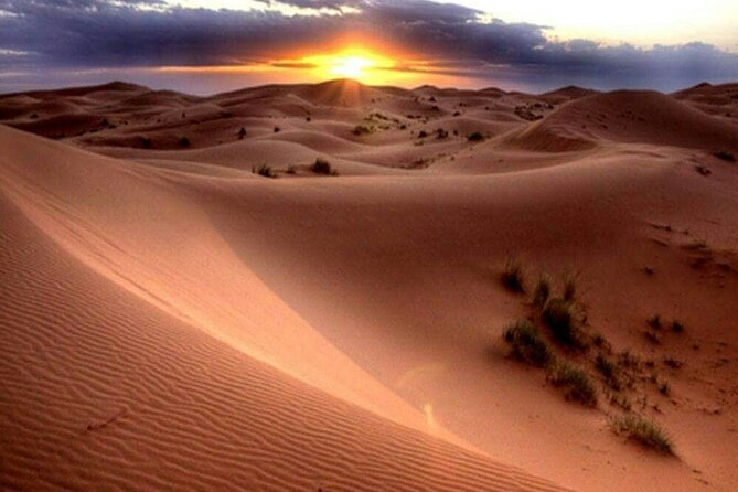 Dubai Morning Desert Safari: Camel Ride & Sandboarding! - Practical details that affect your day