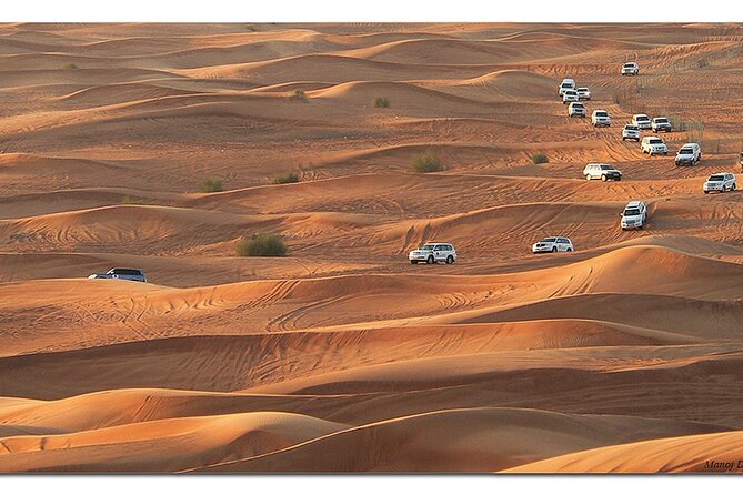 Dubai Morning Desert Safari: Camel Ride & Sandboarding! - What to bring and how to prepare