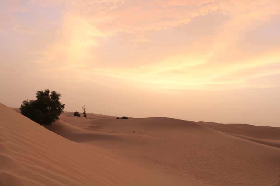 Dubai: Morning Desert Safari with Camel Ride & Sandboarding - Sandboarding on the Lahbab dunes