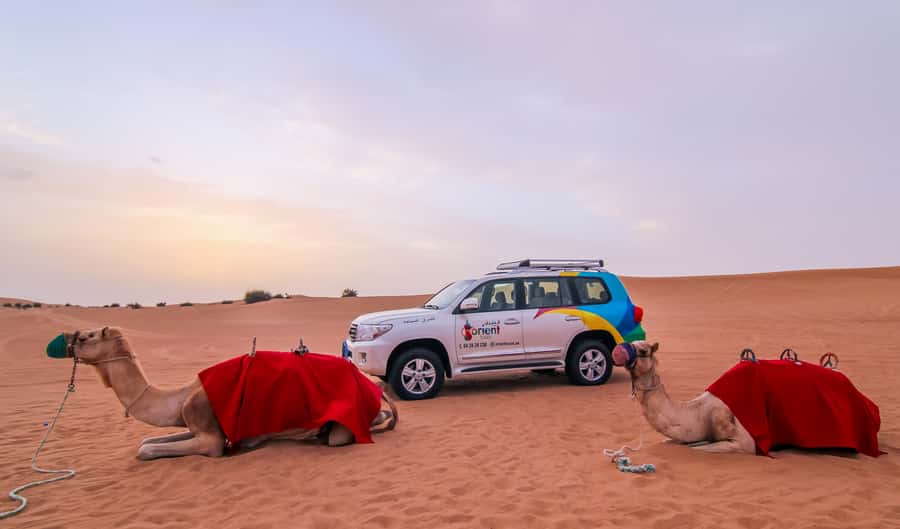 Dubai: Morning Desert Safari with Camel Ride & Sandboarding - The camel ride and desert campsite welcome