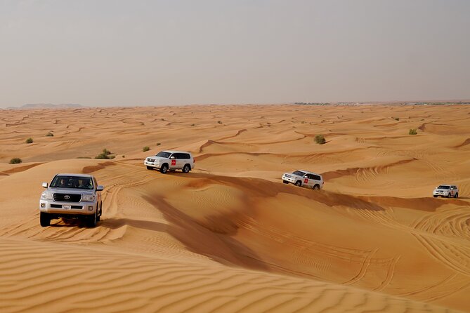 Dubai Morning Desert Safari with Quad Biking & More Activities - Quad biking in the fenced area