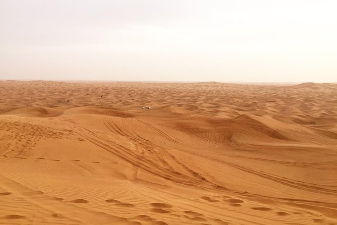 Dubai Morning Desert Small-Group Tour with Dune Bash - Why this morning safari works well in Dubai