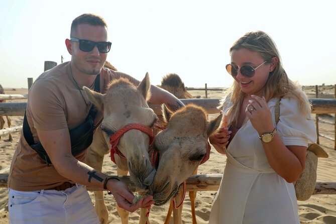 Dubai: Morning Heritage Safari by Vintage G Class & Al Marmoom Oasis - Why Al Marmoom is a better morning setting